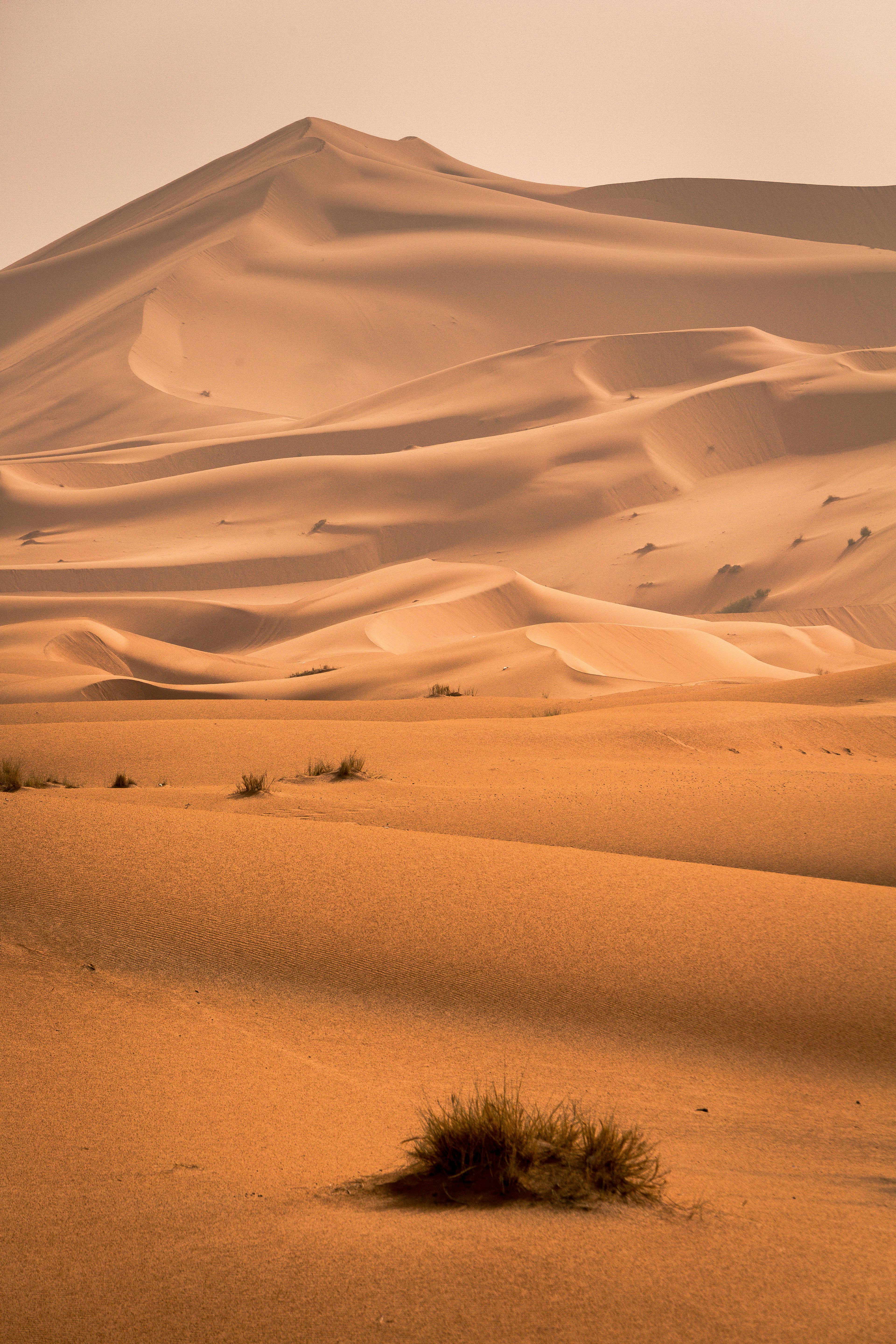 Morocco Traditional Activity